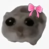 yuri_qxzi
