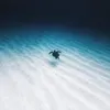 grucc8