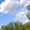 lulatuk