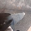ane_rmh