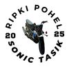 sonic pohel🔥🇧🇴🏴‍☠️