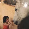 wiameelhajj7