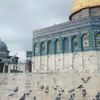 rur.ibrahem