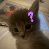 meofcam15_