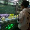 zeen_2737