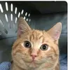 hdtxpwlsbzfoagxgoetymckl