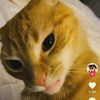 nika_0463