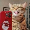 bagas_763