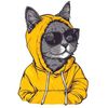 marcel.12347
