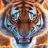aik.thein.shwe