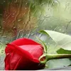 zerif15