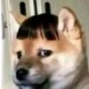 dyd6kqdy1hsg