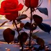 abo_mahmad.12