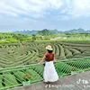 ngocdinh691