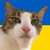 gigacat_ukraine