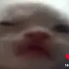 tsukit0o