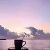 _marino95_