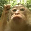 tepmoxaotoi