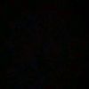 Prmna21_