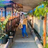 user371164992rohayati