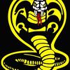 el_cobra_kai21