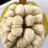 bijimulew