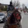 lajavi.krelacc