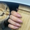 nail_bomba