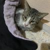 diego_481038