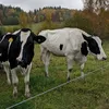 axl_et_poivre