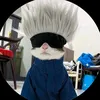 the.gojo.cat19