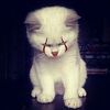 ndreneed.u