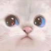 armybtsfujoshi