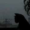 le_pthin_23