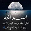 mohamm861