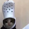 dabaocamlanh