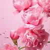 kimhoney123