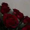 wissal.wis0