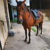 sophie.0413