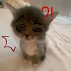 sweeeeeege