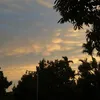 nmnmnmnm1652
