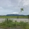 thuanpham1509