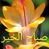 khadiga_khalil