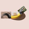 cheesybananaaligator
