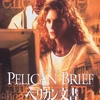 pelican_brif