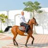 mohammedmagde16