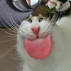 al_official___