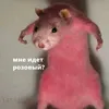 spinymice