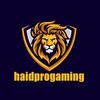 haidprogaming