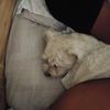 viweapril10111